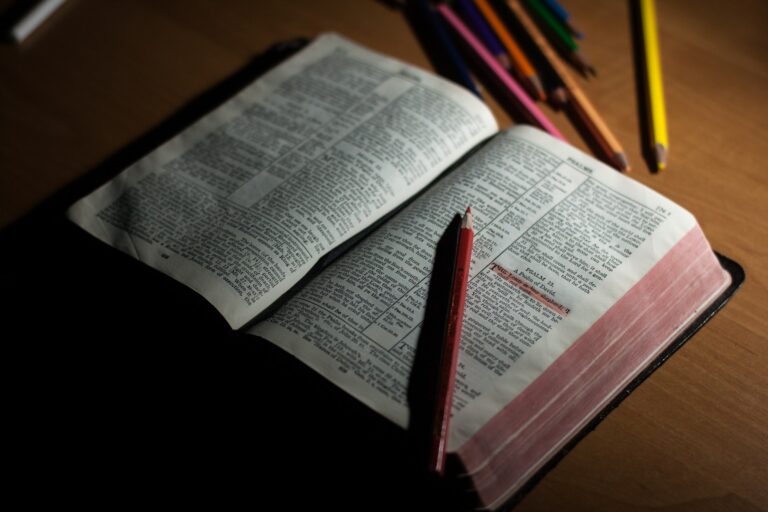 STUDY THE BIBLE YOURSELF, SEARCH THE SCRIPTURES